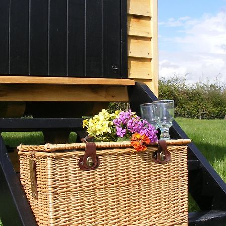 Marshwood Farm B&B And Shepherds Hut Dinton  المظهر الخارجي الصورة
