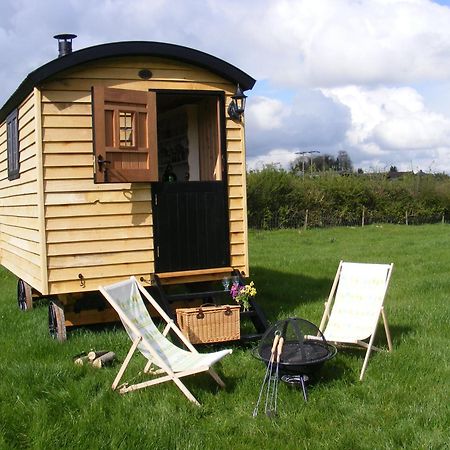 Marshwood Farm B&B And Shepherds Hut Dinton  المظهر الخارجي الصورة