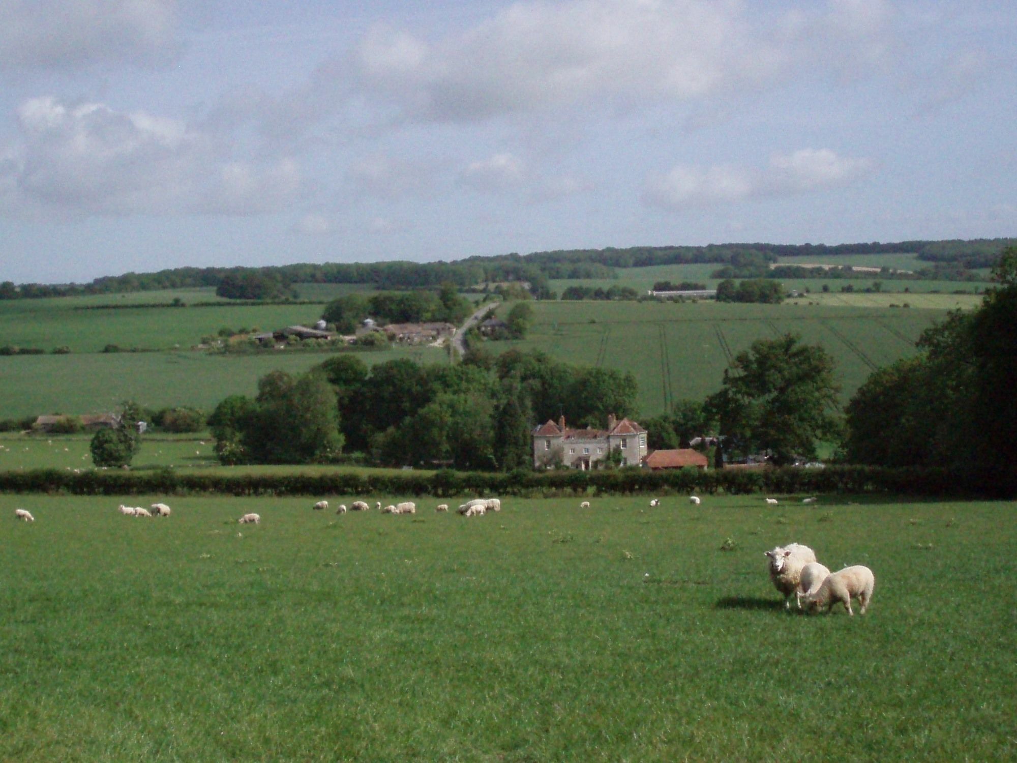 Marshwood Farm B&B And Shepherds Hut Dinton  المظهر الخارجي الصورة